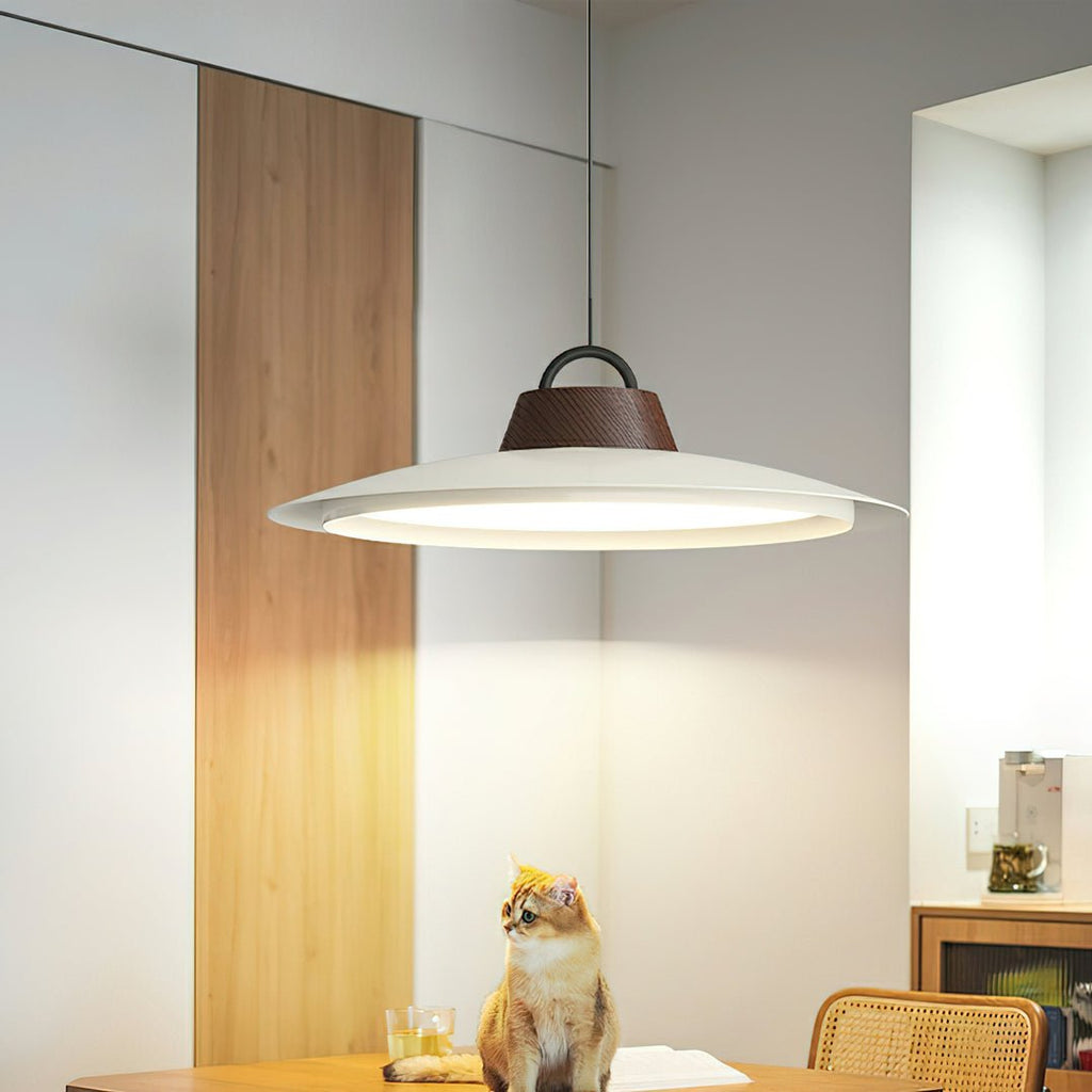 Sloane Suspension moderne - Neutralighting