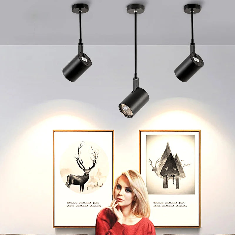 Plafonnier — Télescopique LED pour magasin et galerie d'art sur rail