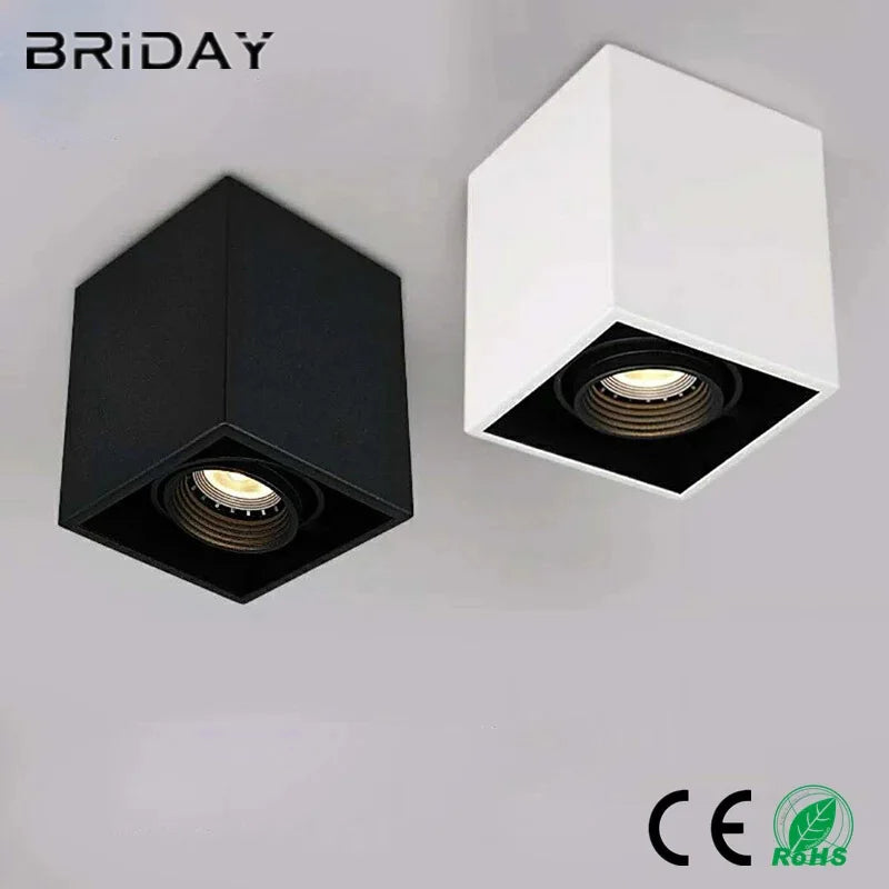 Plafonnier — LED à intensité variable pour intérieur