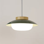 Aero Lampe Pendante Industrielle en Verre à Brancher - Neutralighting