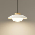 Aero Lampe Pendante Industrielle en Verre à Brancher - Neutralighting