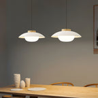 Aero Lampe Pendante Industrielle en Verre à Brancher - Neutralighting