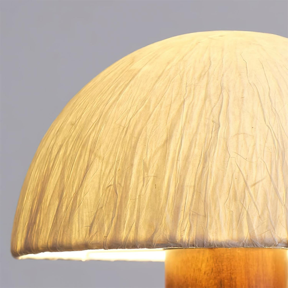 Elviana Lustre - Neutralighting
