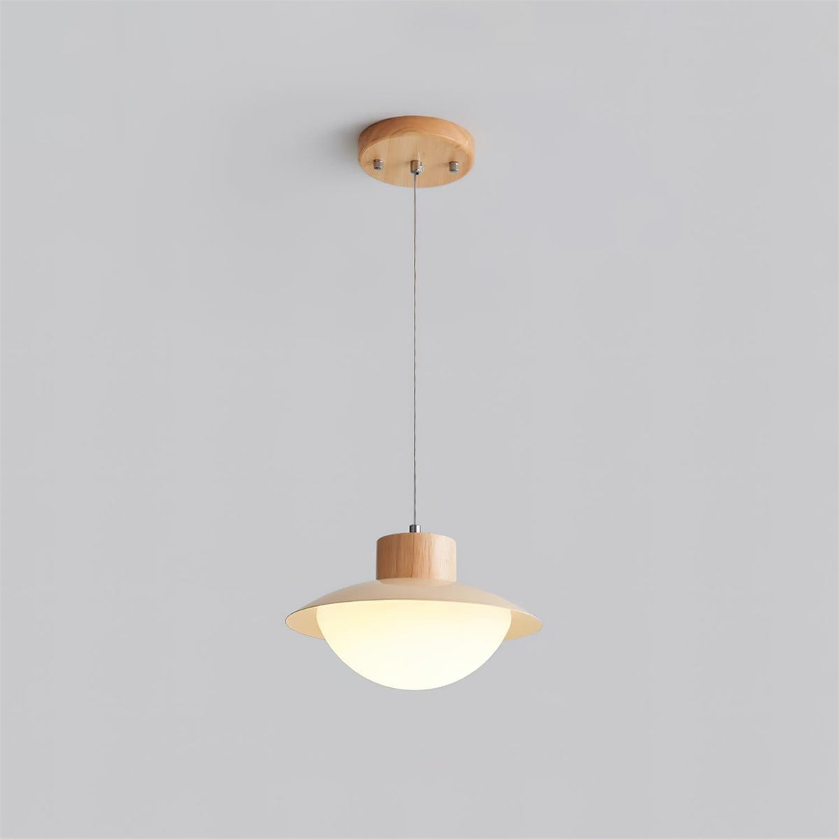 Suspension Bois PE Ombre Dôme Forme Minimaliste - Neutralighting