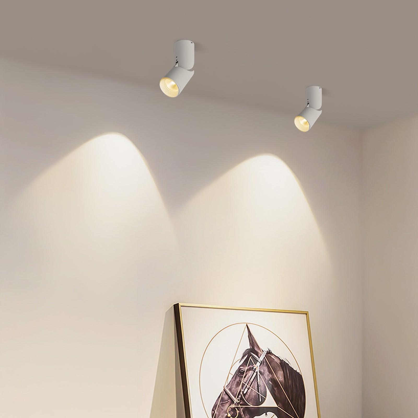 Lustra Plafonnier LED Projecteurs Sunny Ajustables - Neutralighting