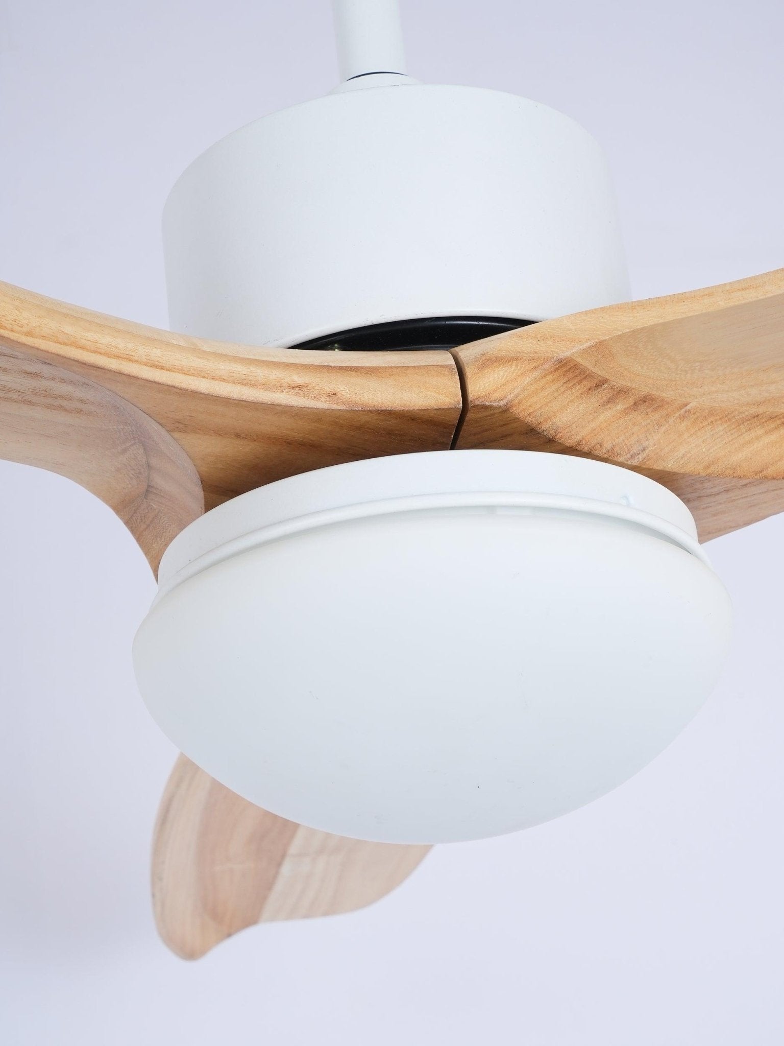 Utalis Plafonnier Ventilateur Naturel Élégant - Neutralighting