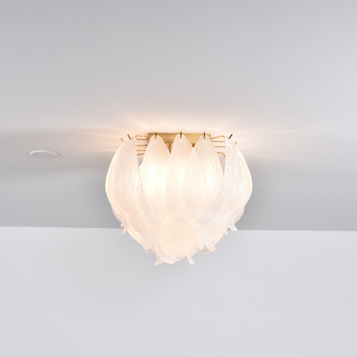 Aurora Plafonnier Murano Pétale Soufflé-Main Verre Applique Plafond - Neutralighting