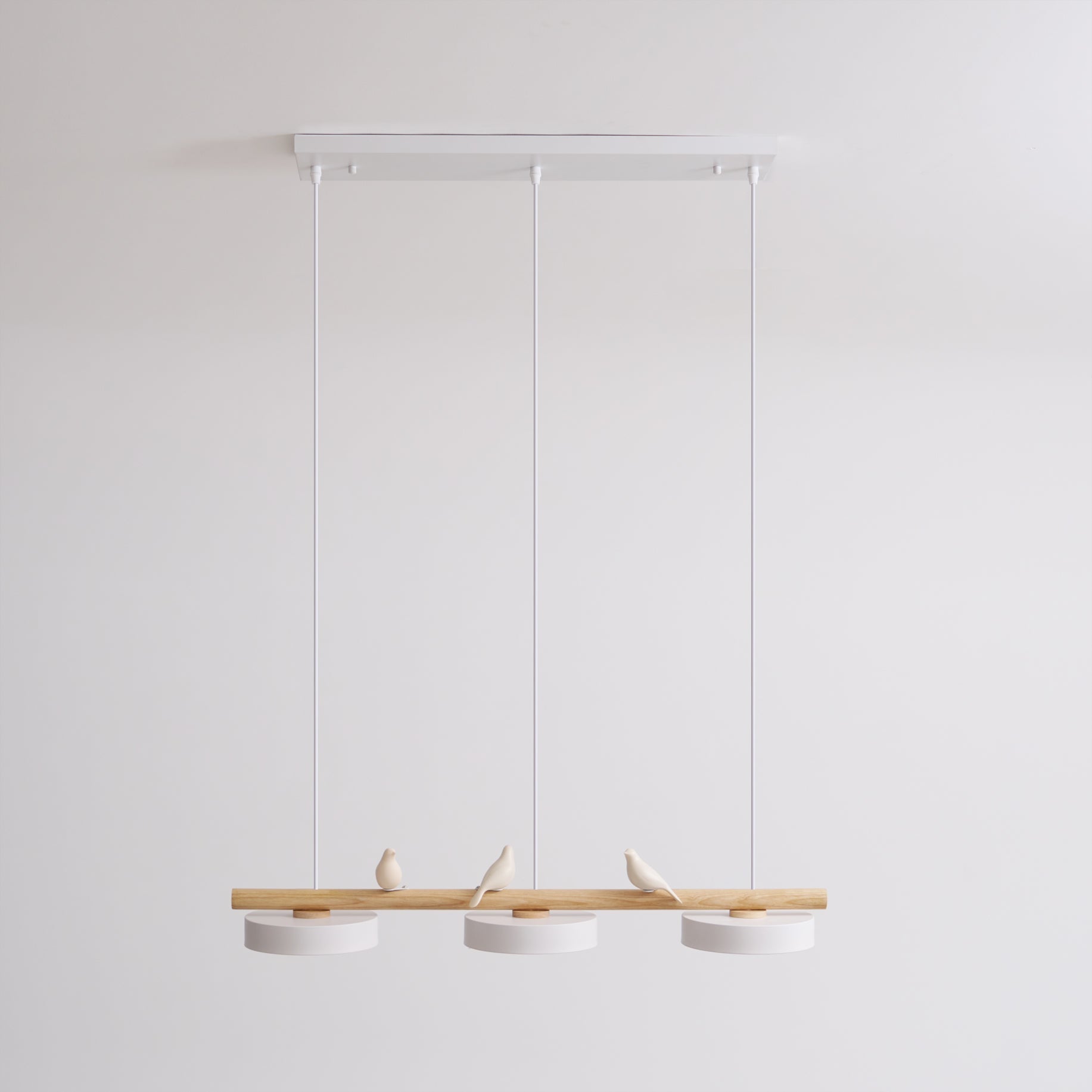 Cliff Suspension Oiseau - 10