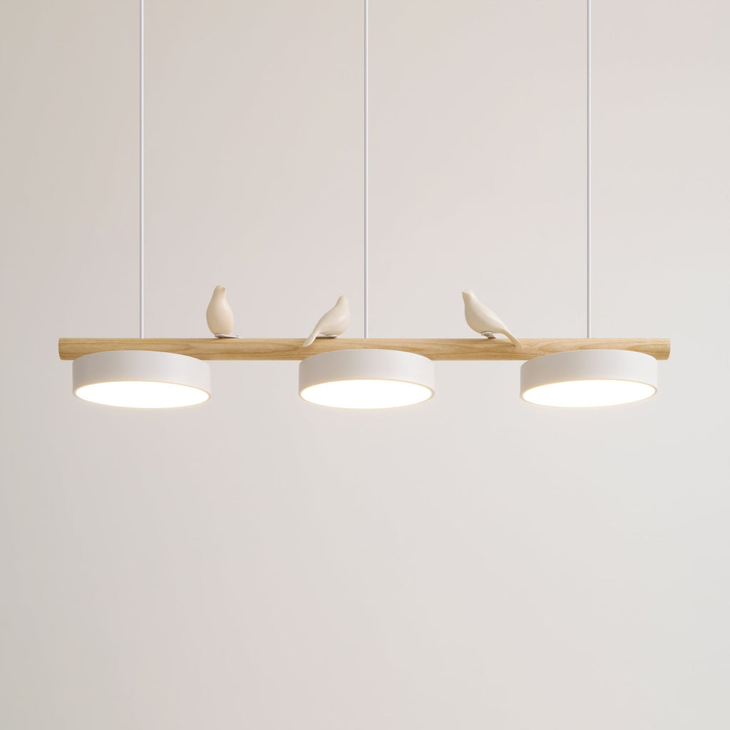 Cliff Suspension Oiseau - 11