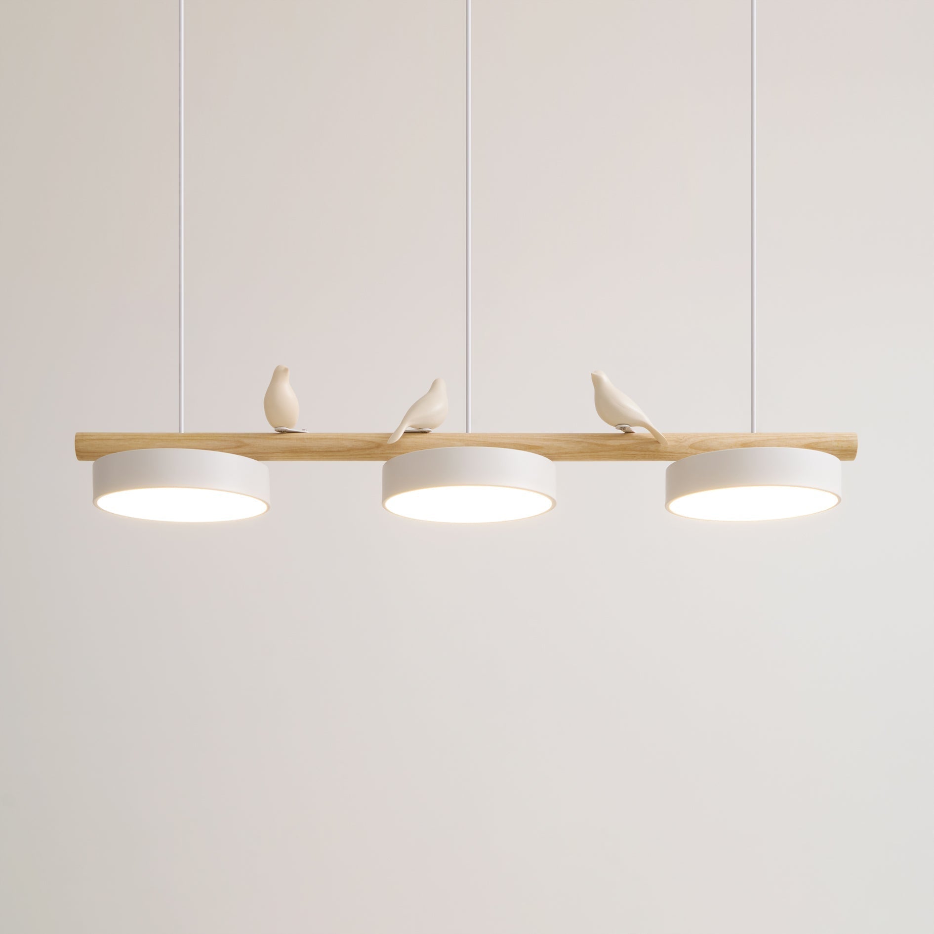 Cliff Suspension Oiseau - 11