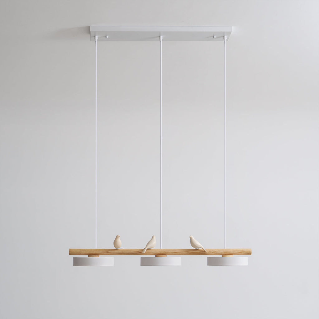 Cliff Suspension Oiseau - 13