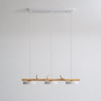 Cliff Suspension Oiseau - 13