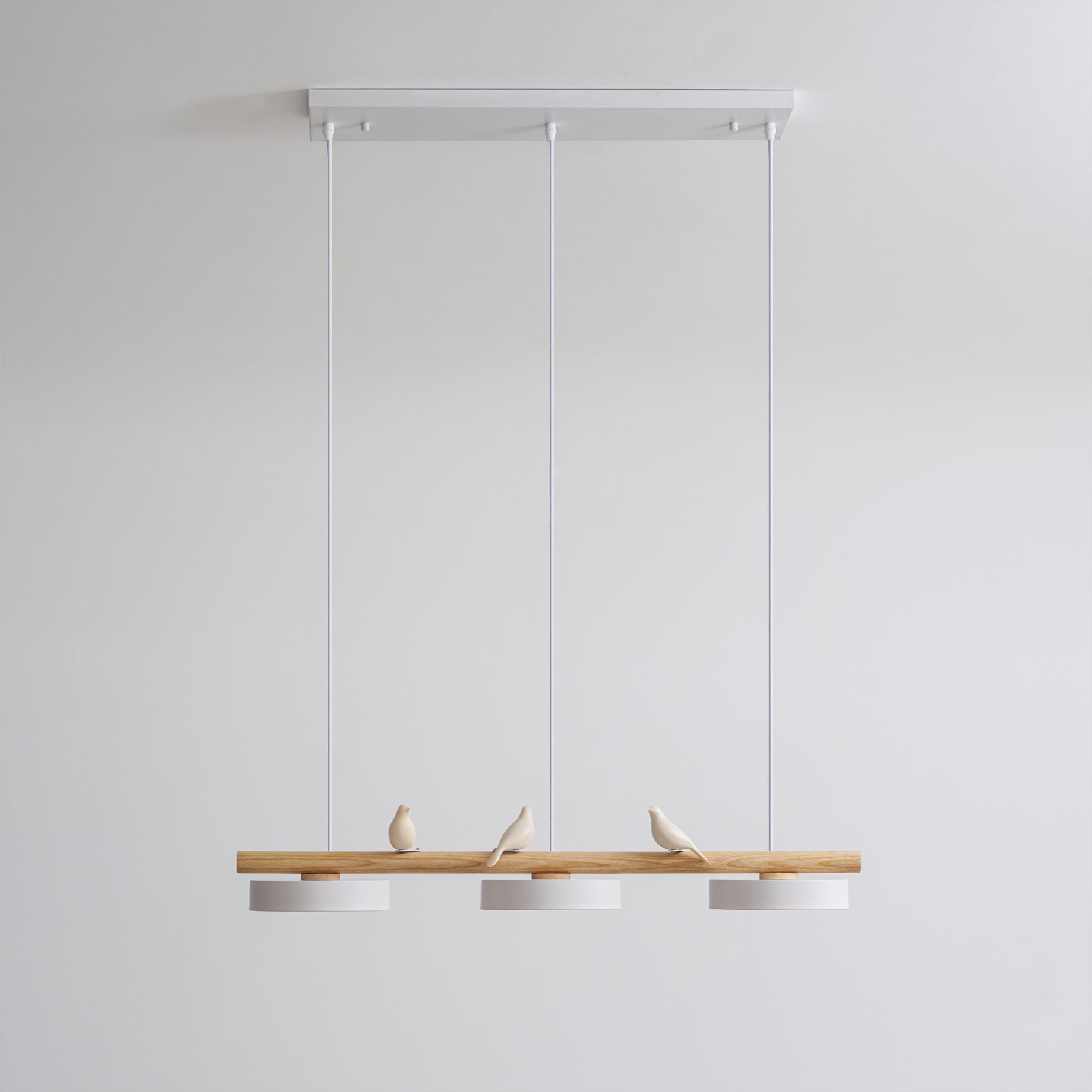 Cliff Suspension Oiseau - 13