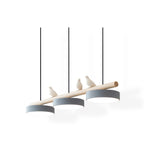 Cliff Suspension Oiseau - 25