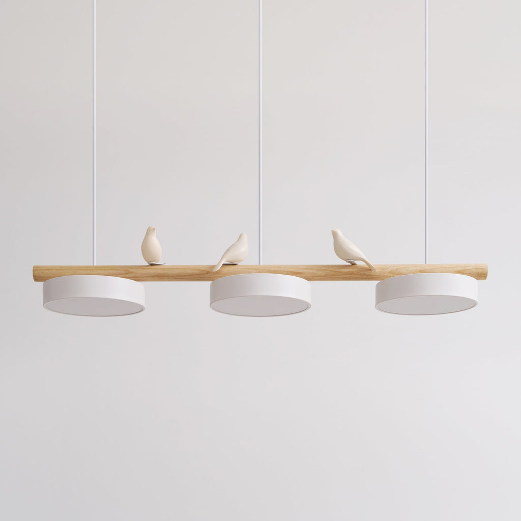 Cliff Suspension Oiseau - 6