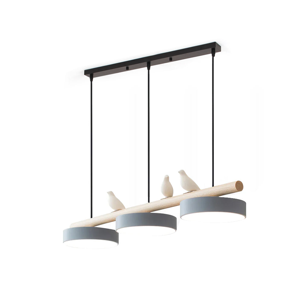 Cliff Suspension Oiseau - 7