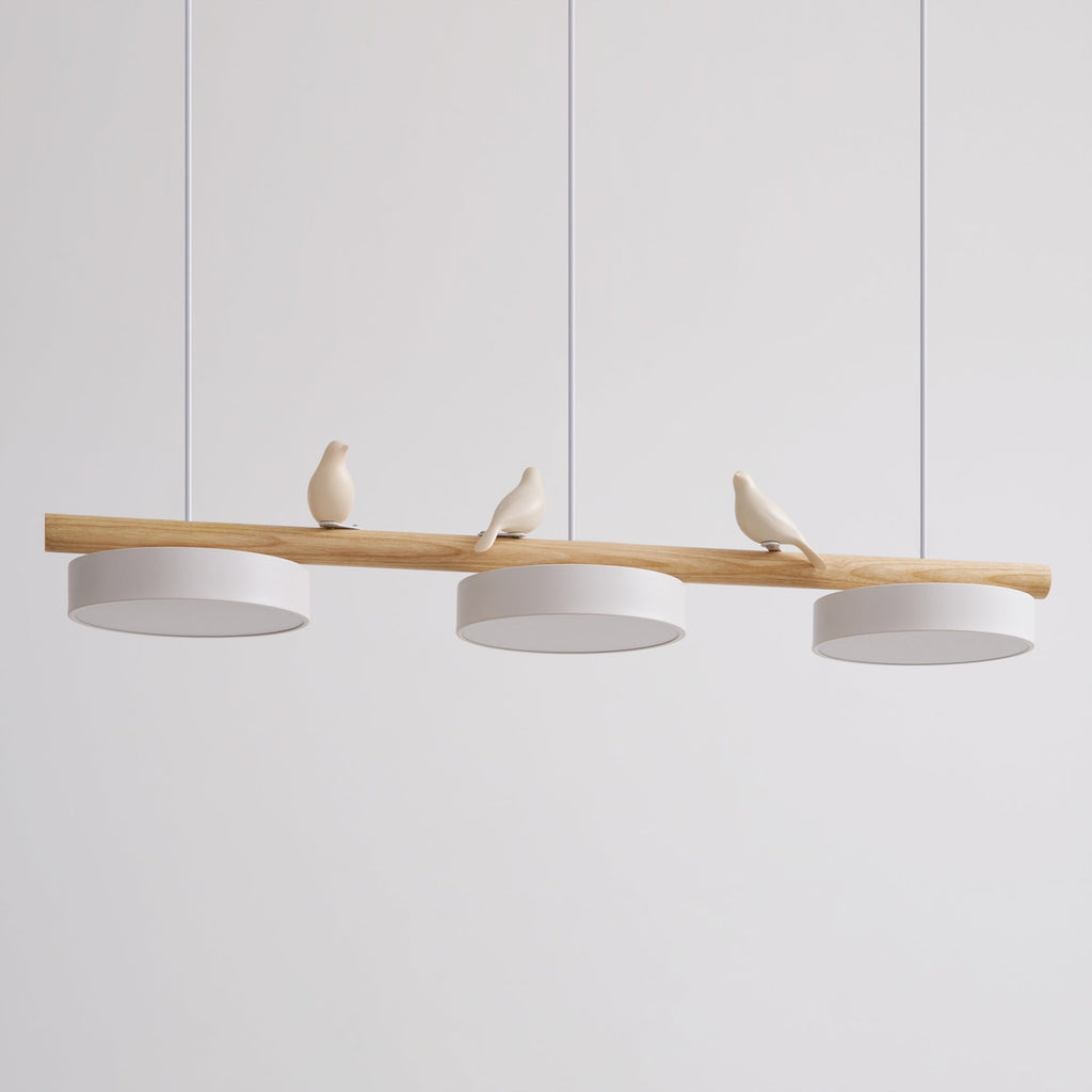Cliff Suspension Oiseau - 9