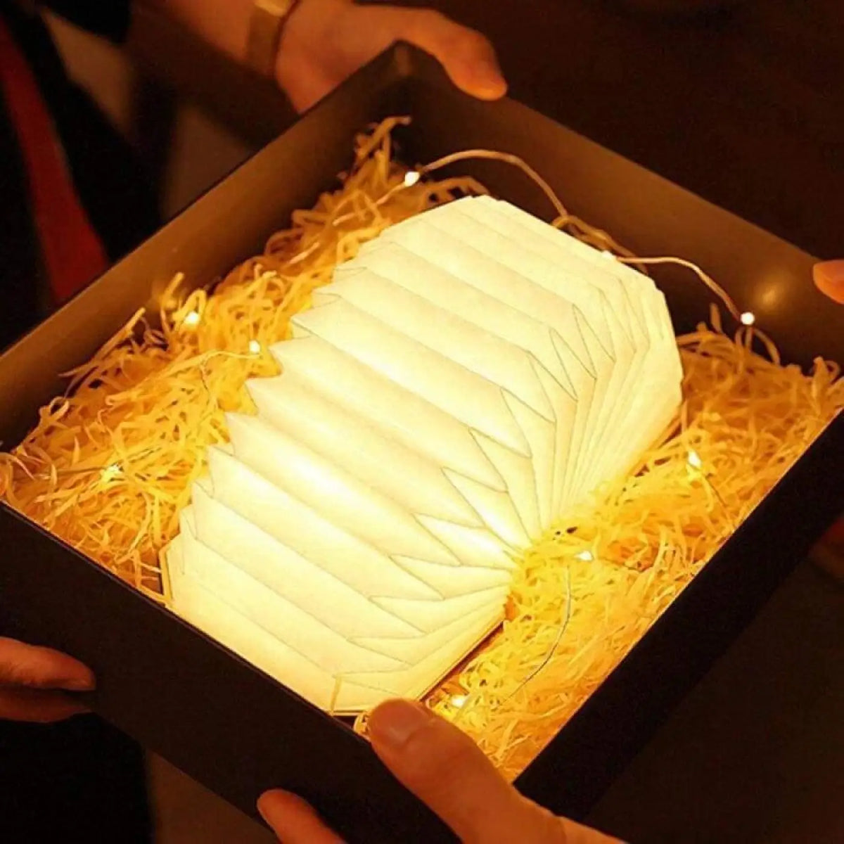 Lampe de Chevet | ACCORDEON