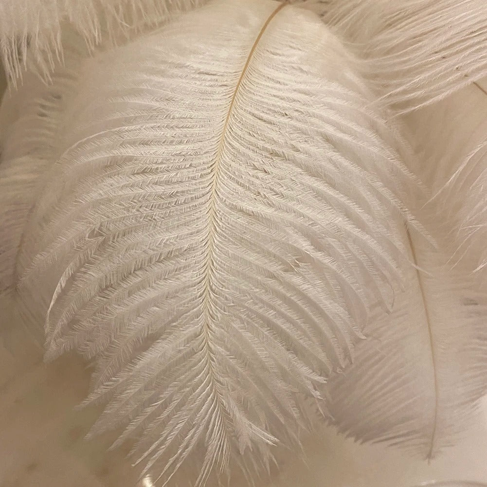 Lampe de Chevet Plume
