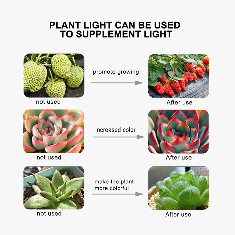 lampe à poser led phyto spectre complet pour culture de plantes