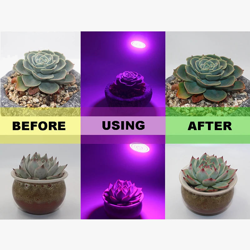 lampe à poser led phyto spectre complet pour culture de plantes