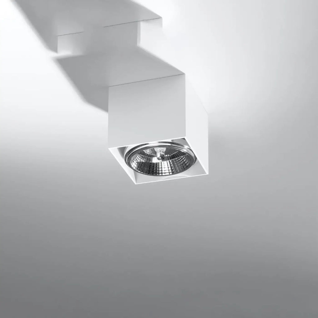 Luminaire Plafonnier | BLAKE (Blanc)