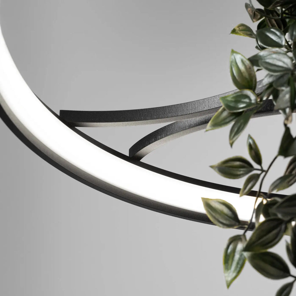 Lustre Rio bio