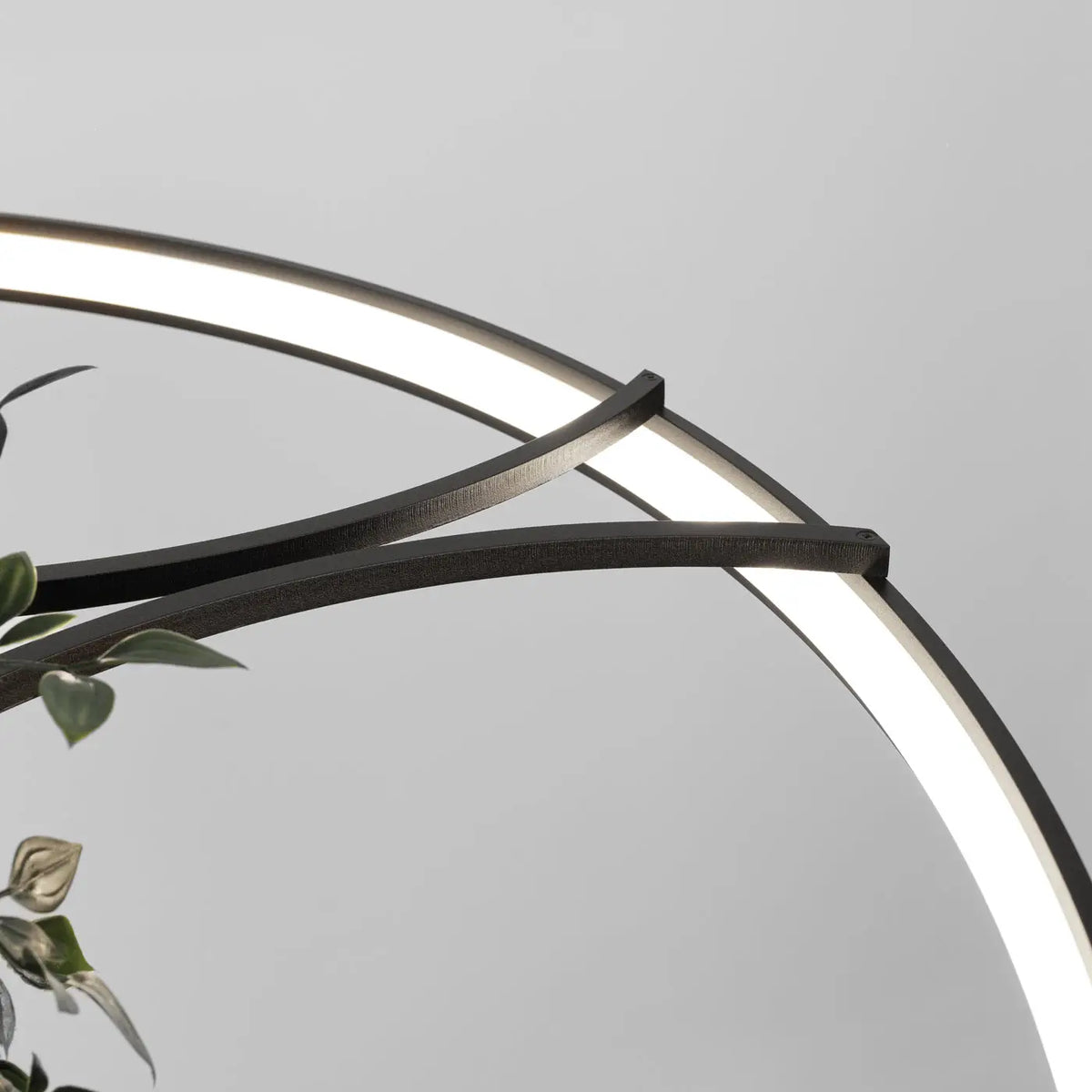 Lustre Rio bio