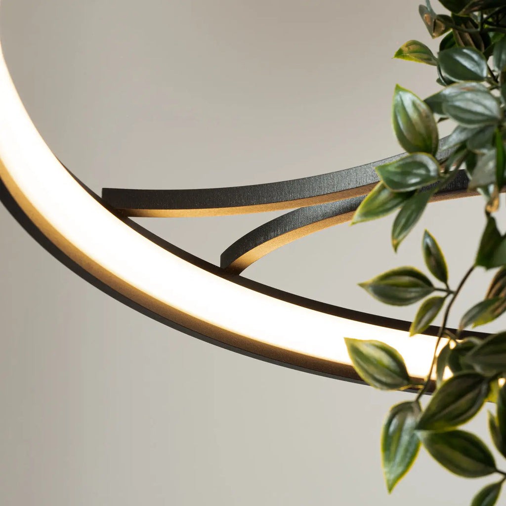 Lustre Rio bio