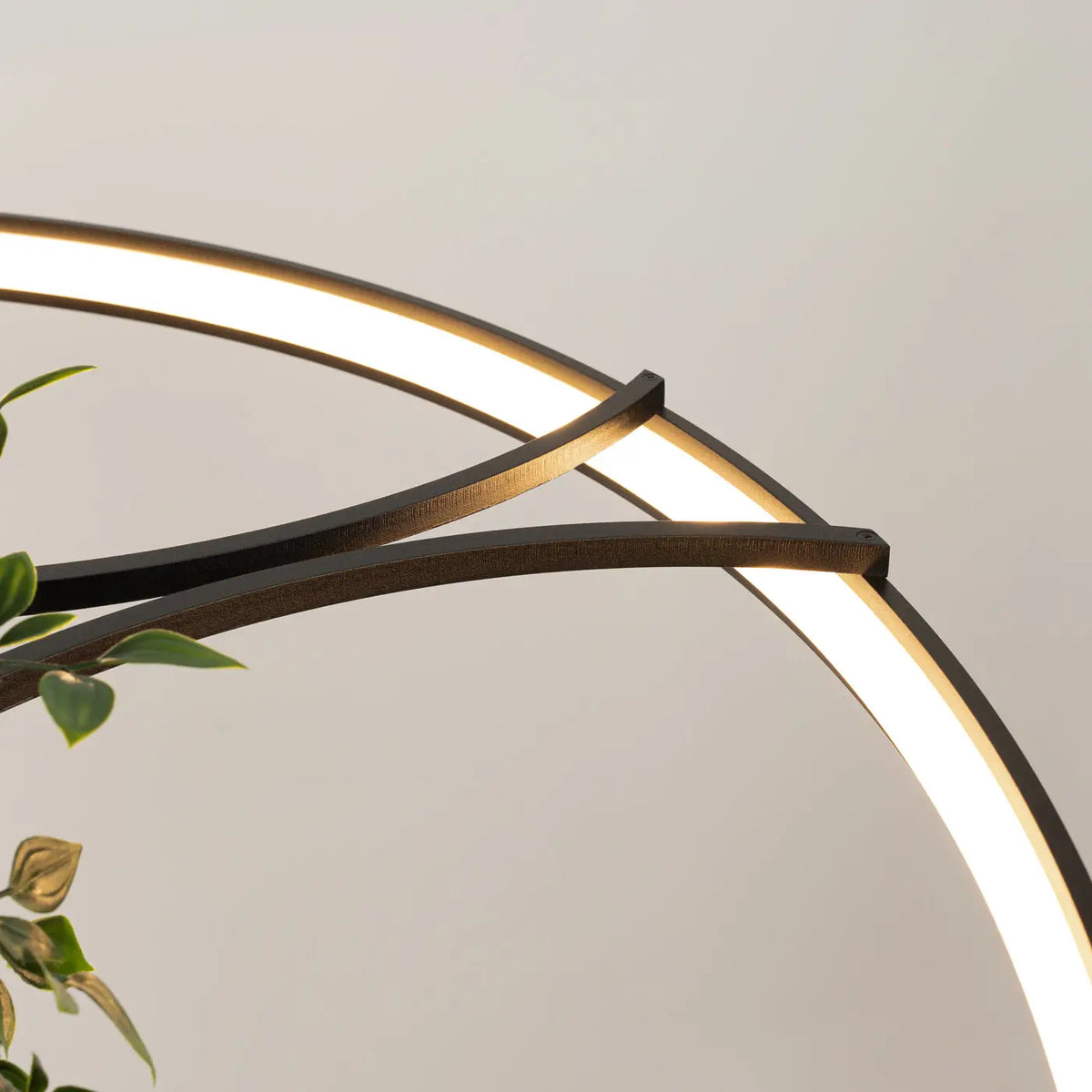 Lustre Rio bio