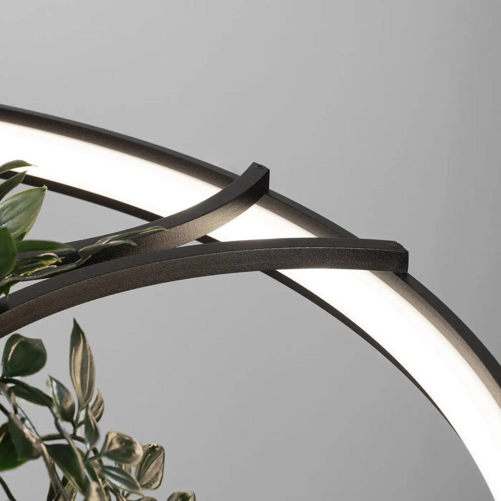 Lustre Rio bio