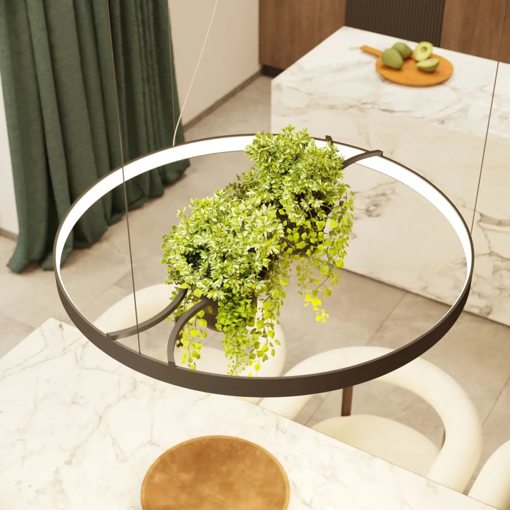 Lustre Rio bio