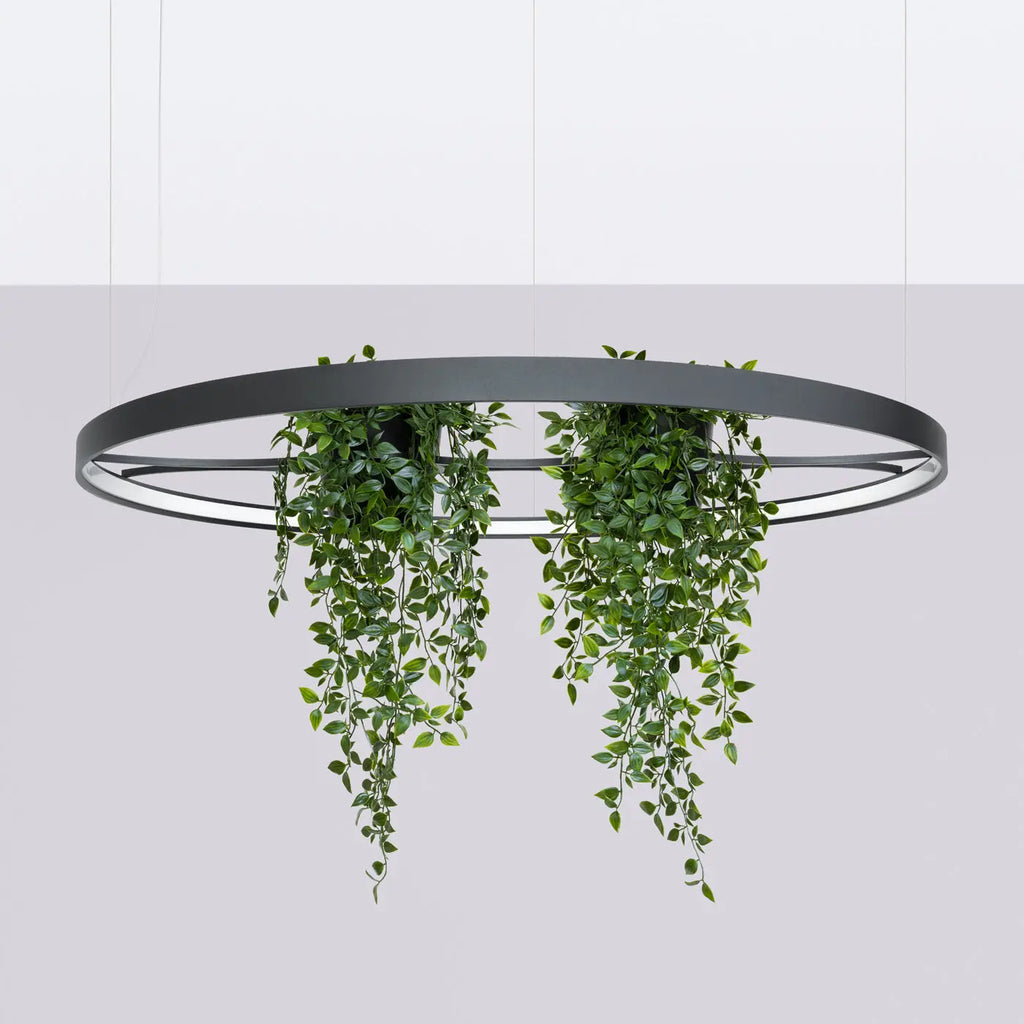 Lustre Rio bio