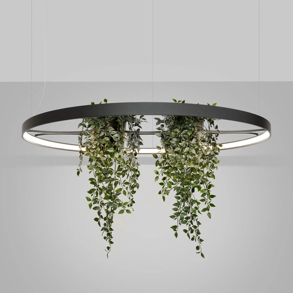 Lustre Rio bio