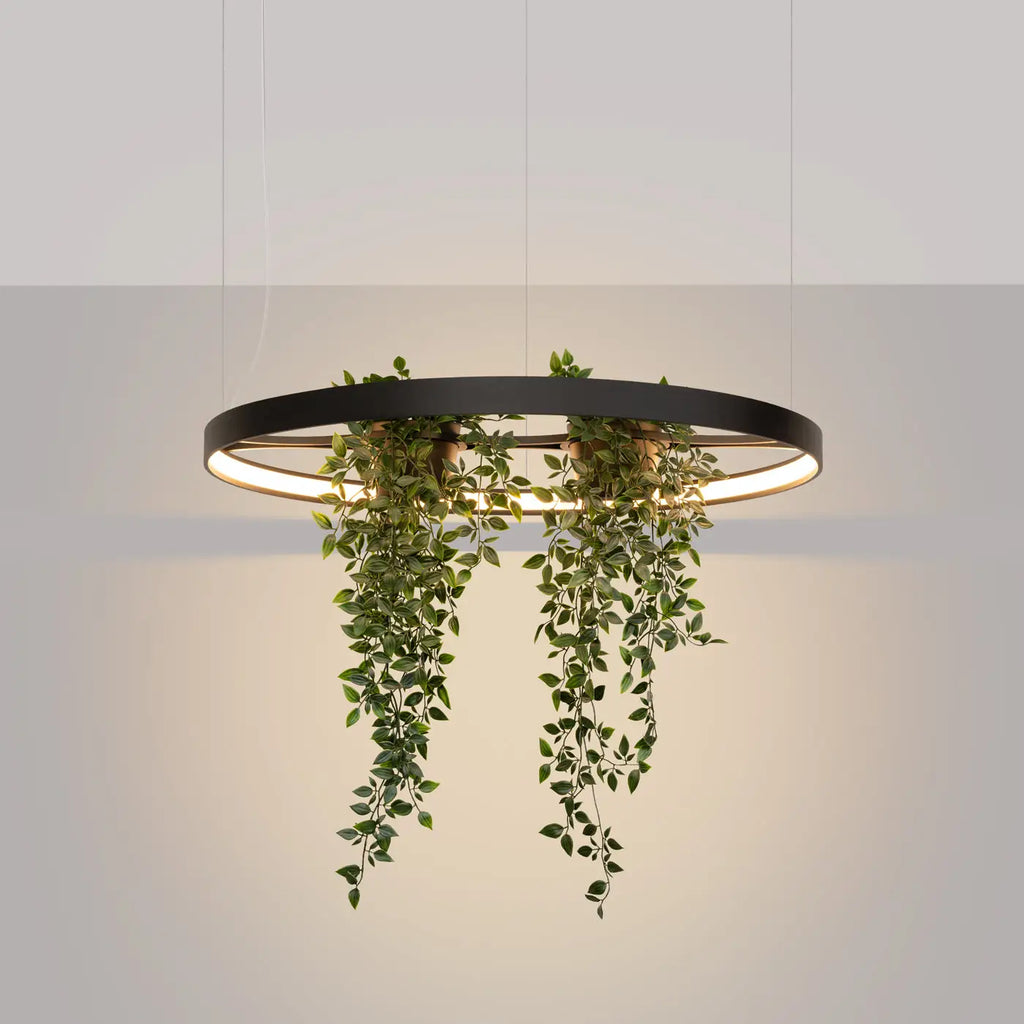 Lustre Rio bio
