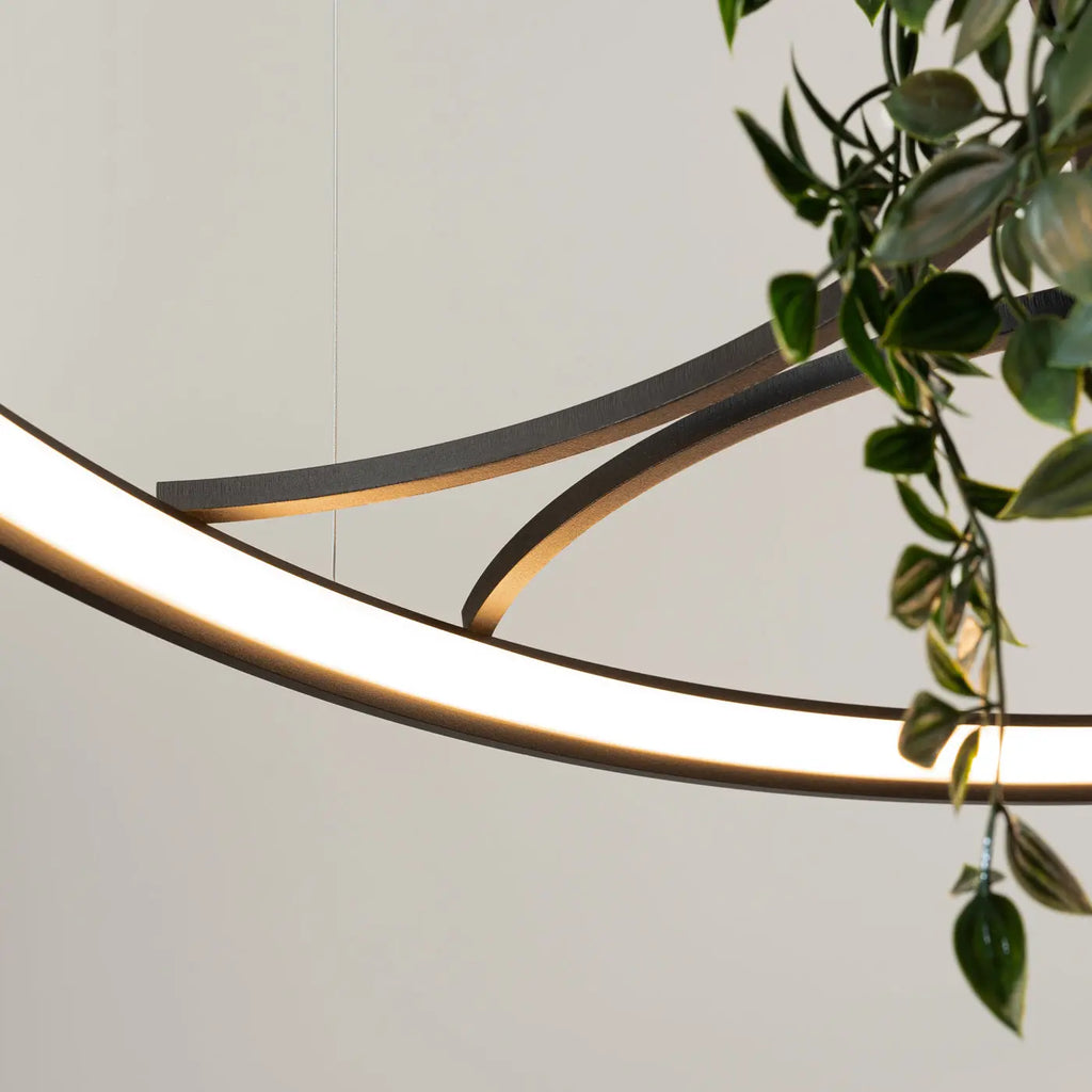 Lustre Rio bio