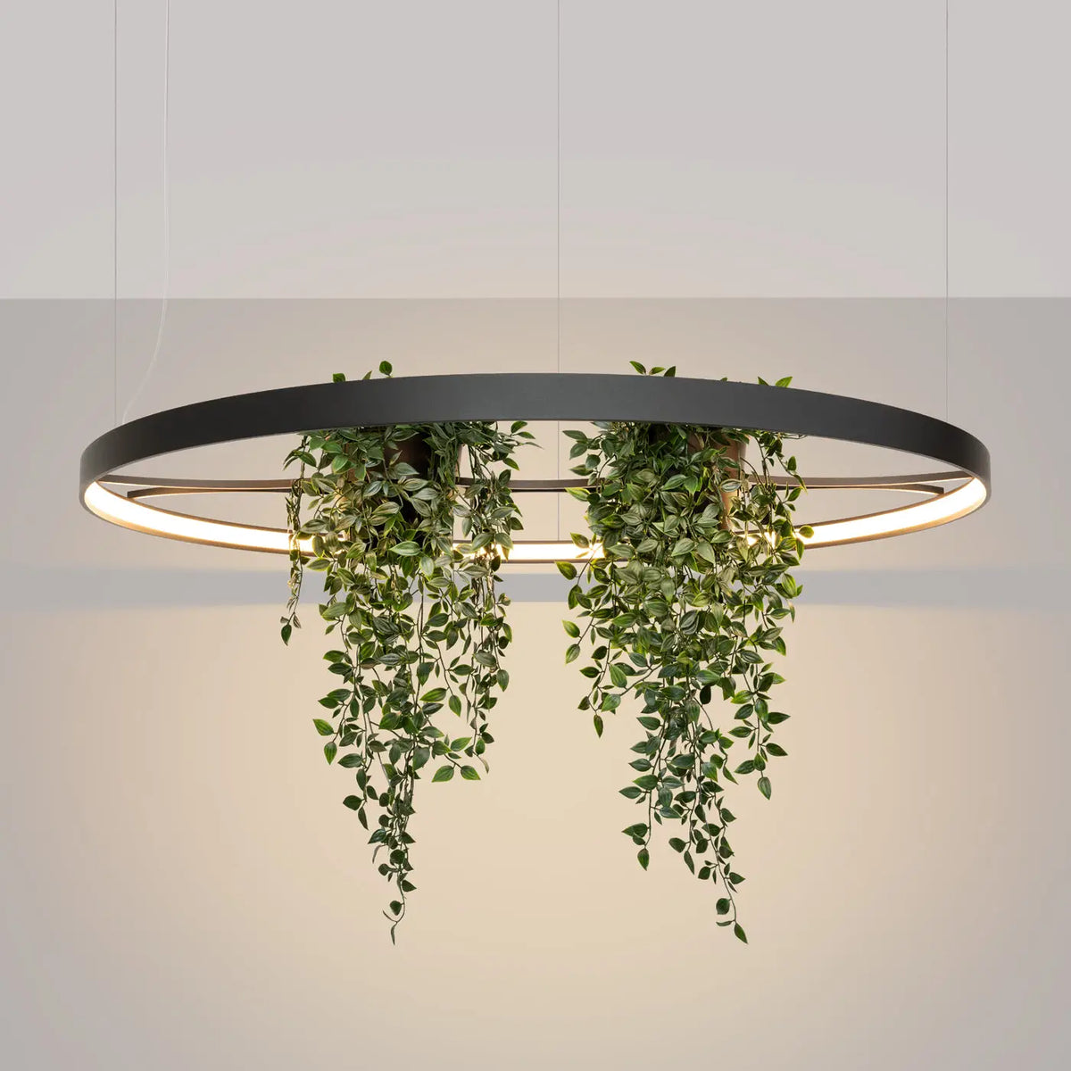 Lustre Rio bio