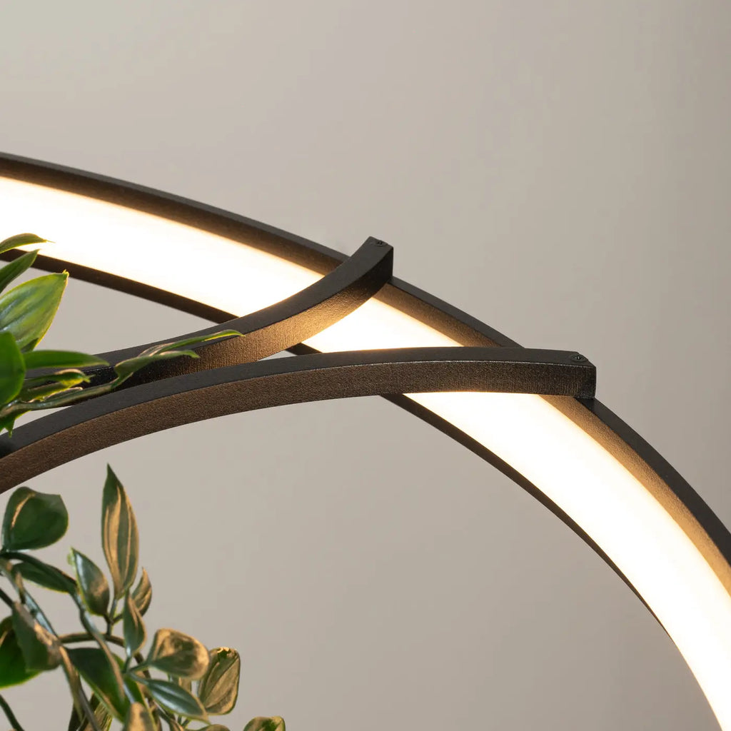Lustre Rio bio