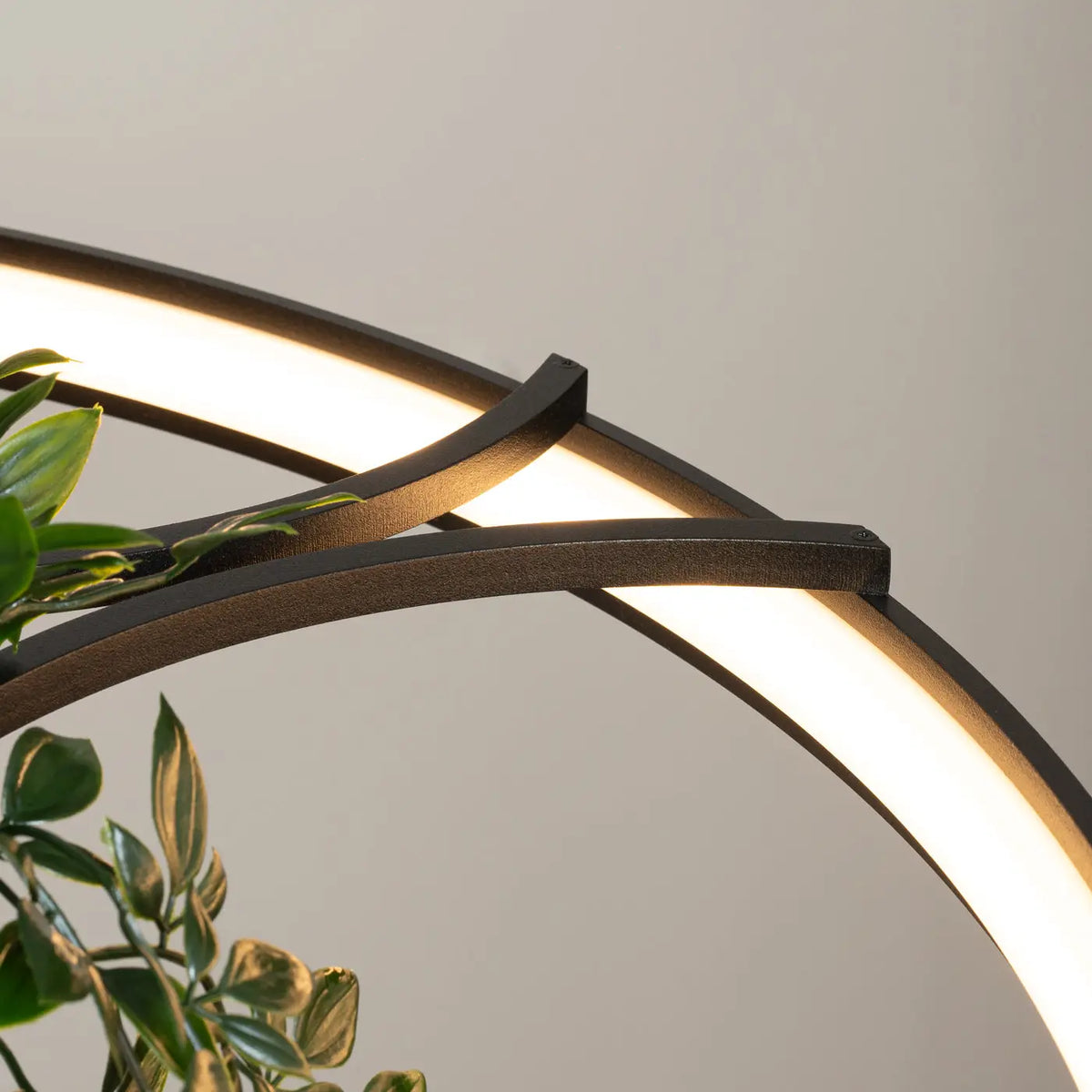 Lustre Rio bio