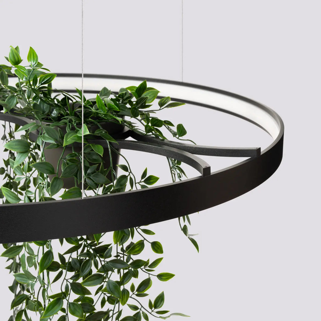 Lustre Rio bio