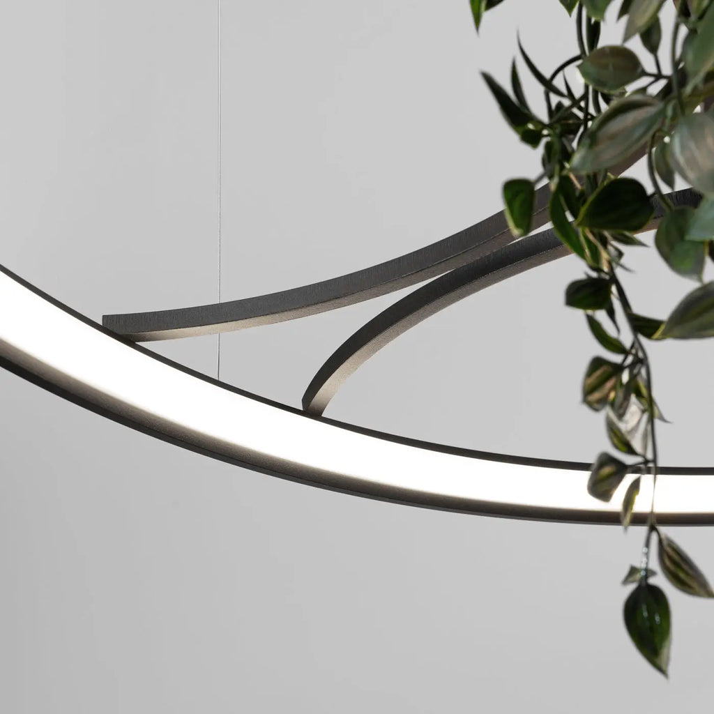 Lustre Rio bio