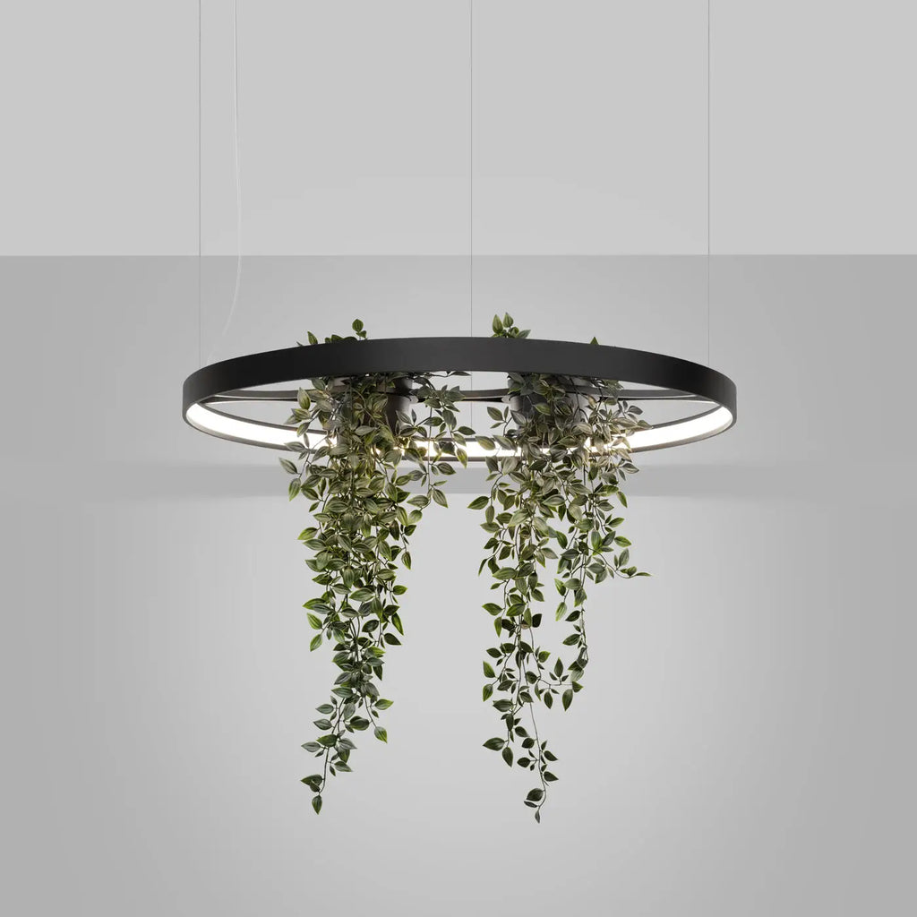 Lustre Rio bio