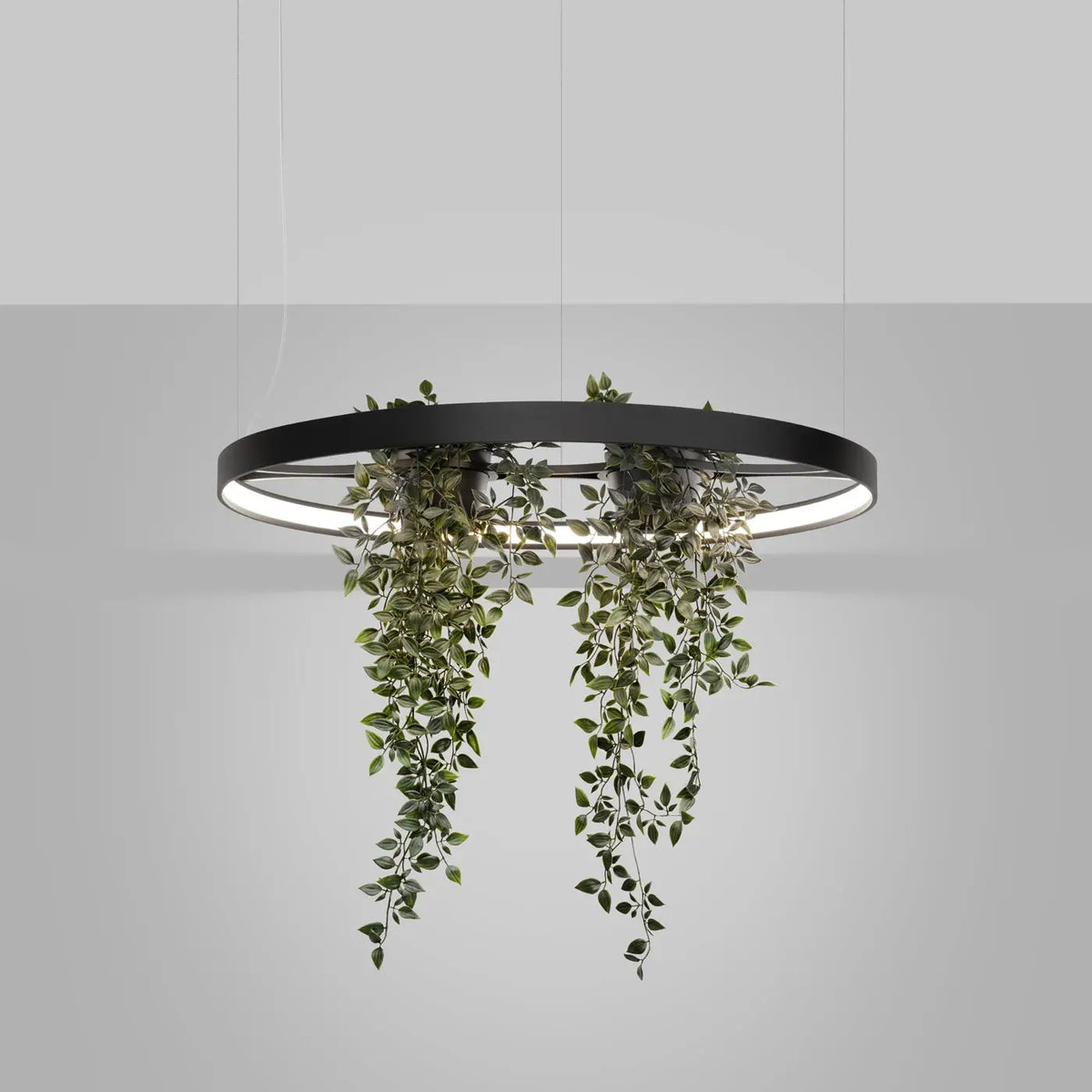 Lustre Rio bio