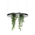 Lustre Rio bio
