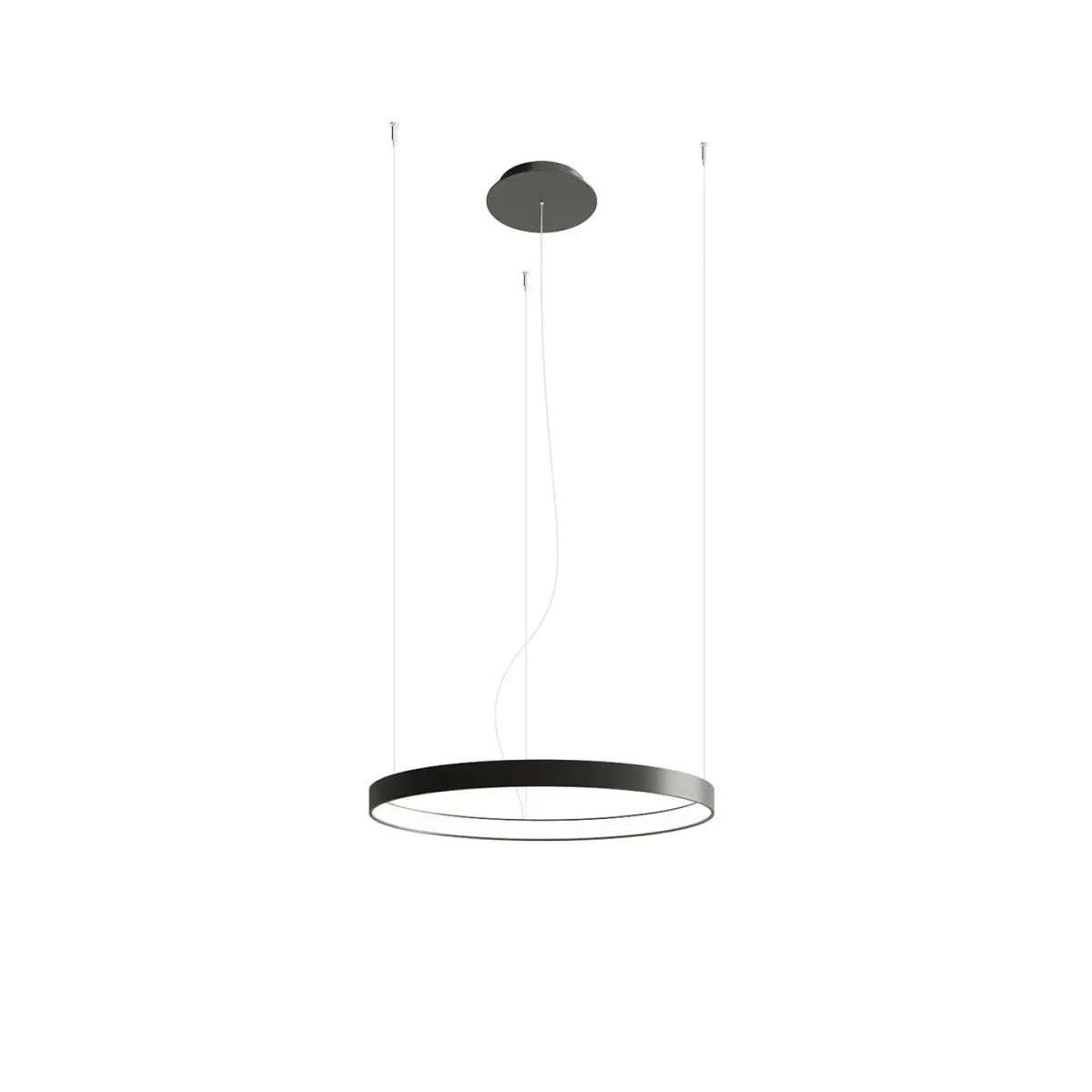 Lustre Rio