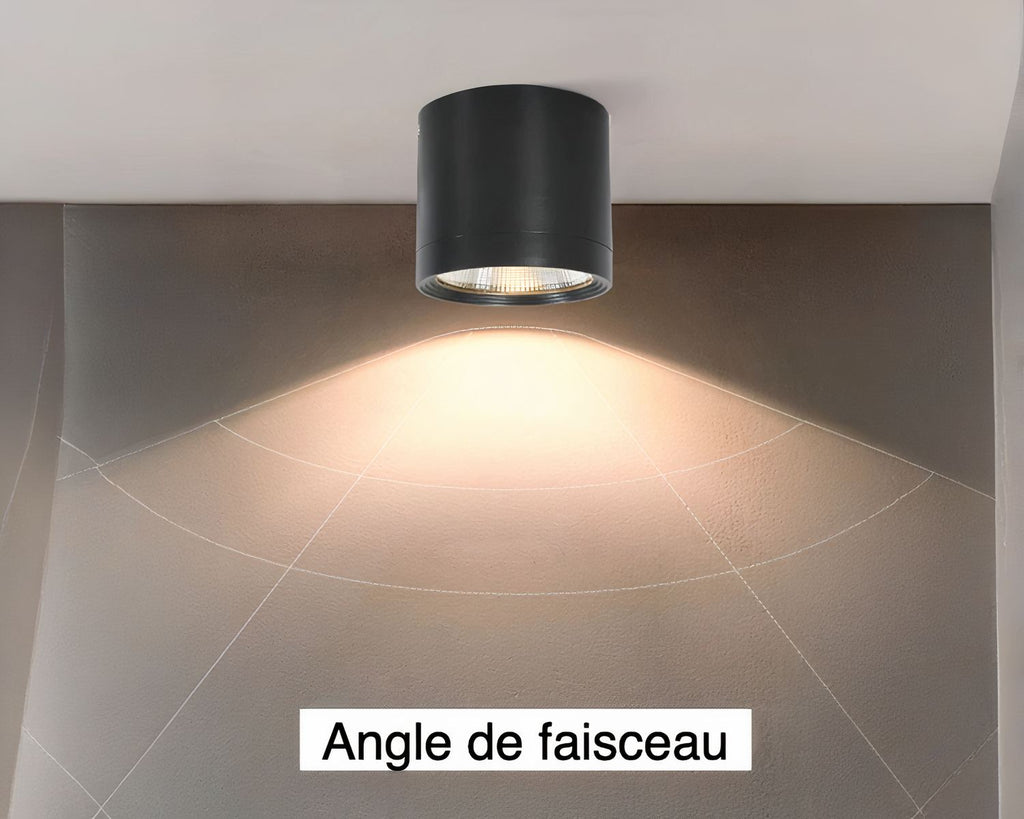 Petit spot étanche salle de bain noir