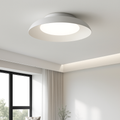 Plafonnier industriel créatif en métal avec éclairage led Lys Accord - Un Accent Industriel Élégant
