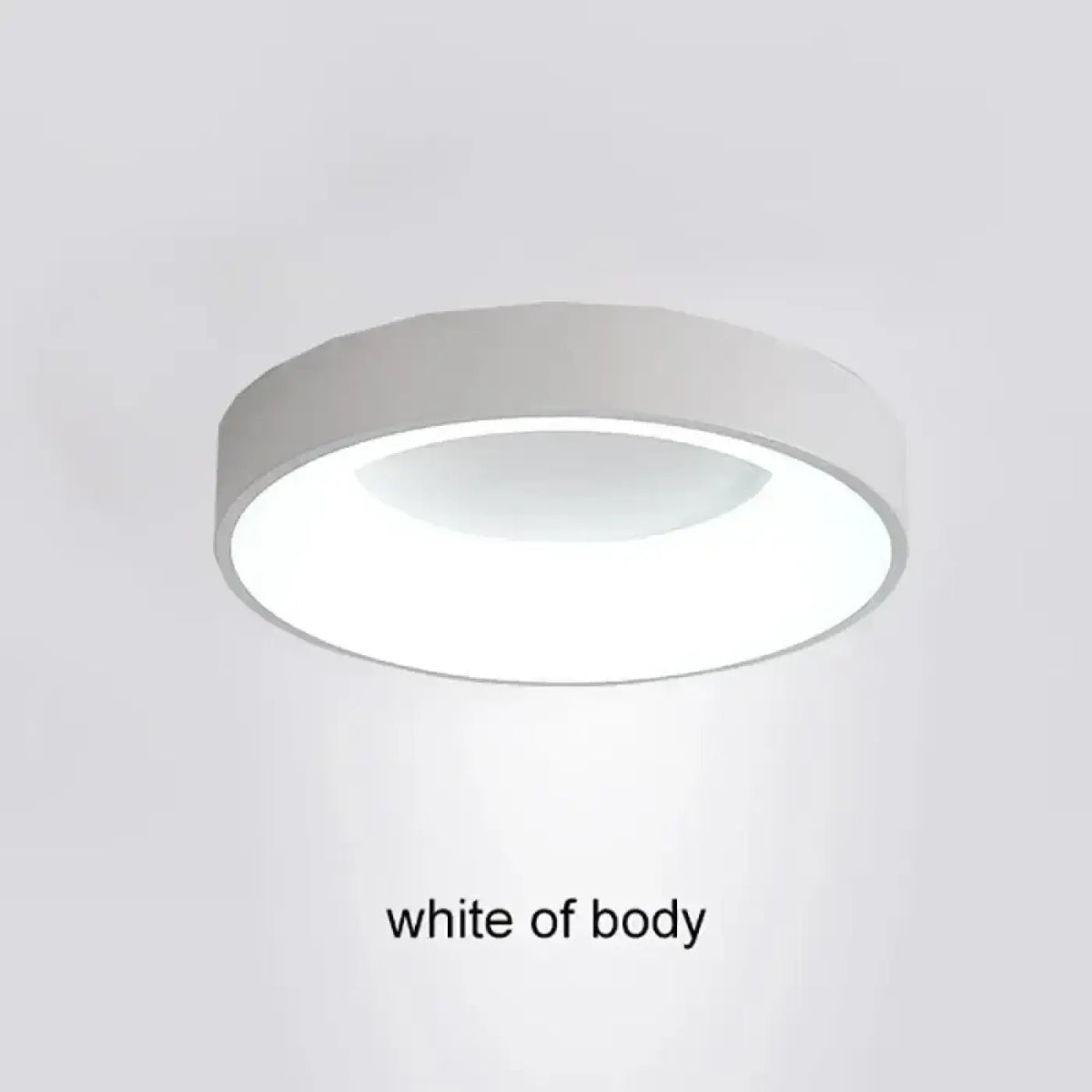 Luminaire Plafonnier | FINO