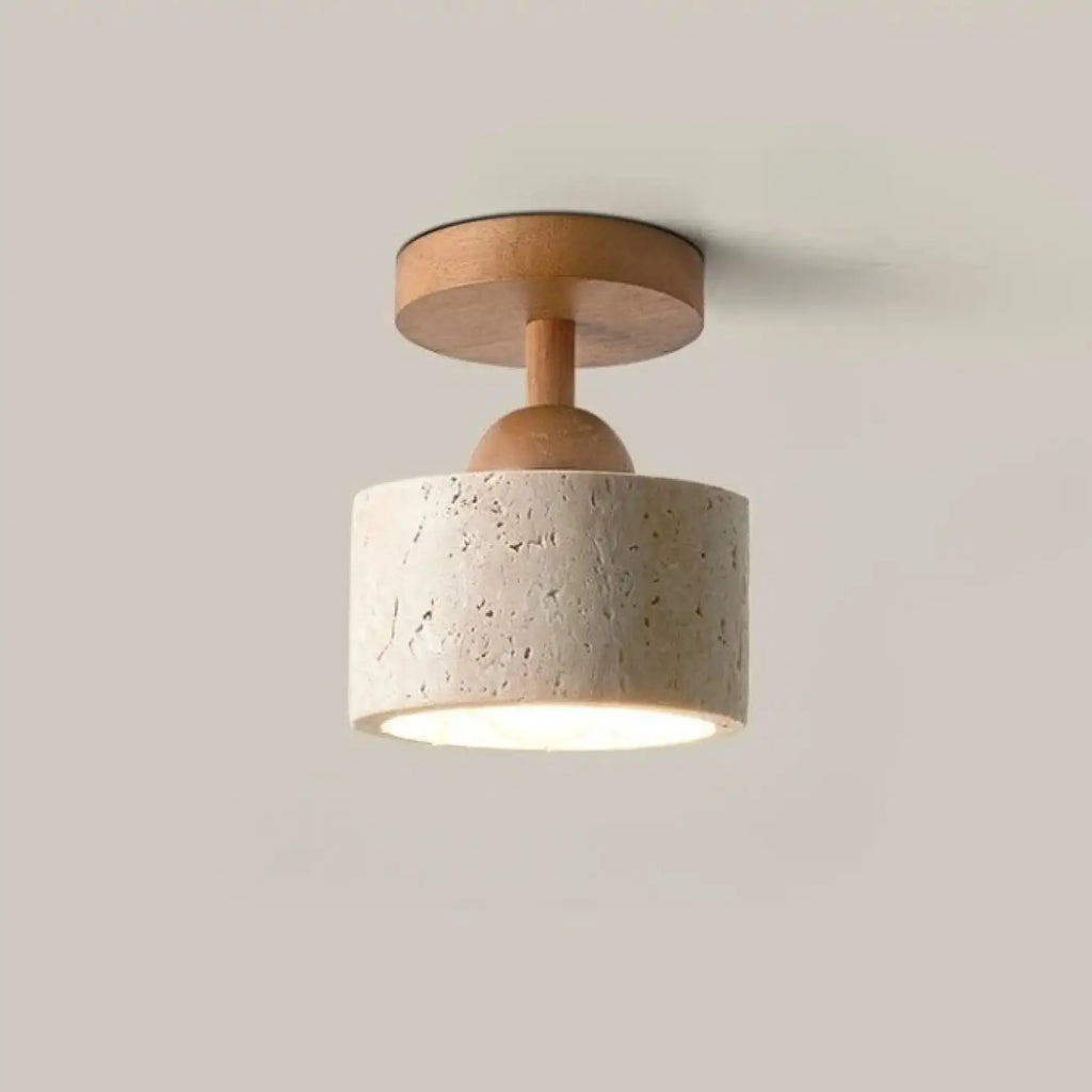 Luminaire Plafonnier | TERRIS