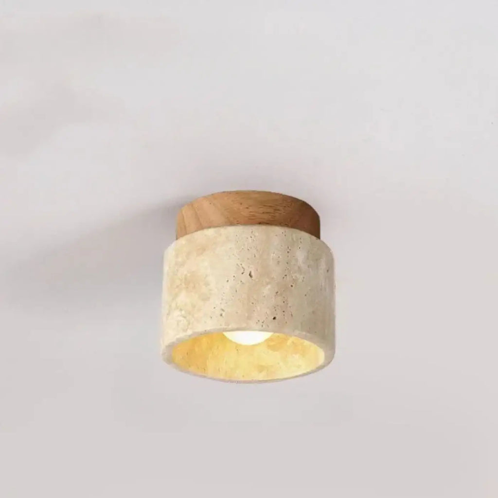 Luminaire Plafonnier | TERRIS